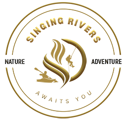 About 2D SR LOGO 250