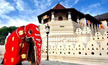 Discover Sri Lanka: Your Ultimate 15-Day Adventure